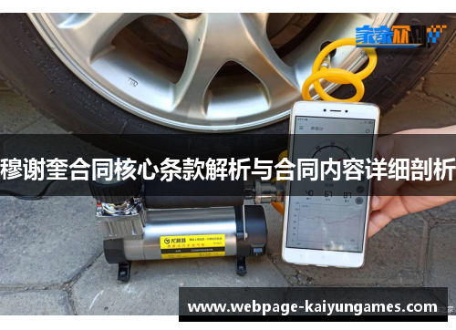 穆谢奎合同核心条款解析与合同内容详细剖析