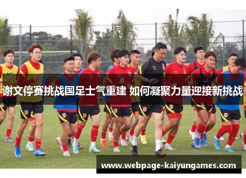 谢文停赛挑战国足士气重建 如何凝聚力量迎接新挑战